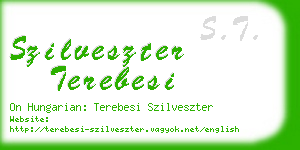 szilveszter terebesi business card